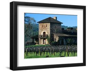 V Sattui Winery and Vineyard in St. Helena, Napa Valley Wine Country, California, USA-John Alves-Framed Photographic Print