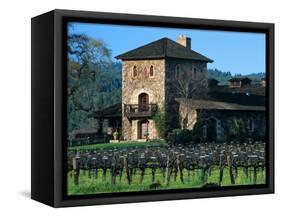 V Sattui Winery and Vineyard in St. Helena, Napa Valley Wine Country, California, USA-John Alves-Framed Stretched Canvas