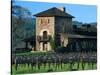 V Sattui Winery and Vineyard in St. Helena, Napa Valley Wine Country, California, USA-John Alves-Stretched Canvas