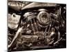 V-Twin Motorcyle Engine-Stephen Arens-Mounted Premium Photographic Print