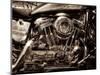 V-Twin Motorcyle Engine-Stephen Arens-Mounted Photographic Print