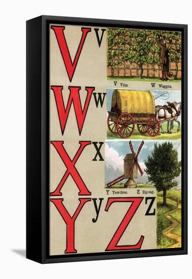 V, W, X, Y, Z Illustrated Letters-Edmund Evans-Framed Stretched Canvas