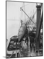 V2 Rocket Is Loaded onto Boat-null-Mounted Photographic Print