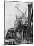 V2 Rocket Is Loaded onto Boat-null-Mounted Photographic Print