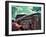 V8-Stephen Arens-Framed Photographic Print