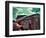 V8-Stephen Arens-Framed Photographic Print