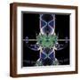 Brown Frame