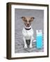 Vacation Dog-Javier Brosch-Framed Photographic Print
