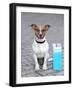 Vacation Dog-Javier Brosch-Framed Photographic Print