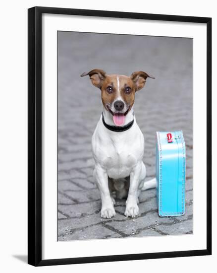 Vacation Dog-Javier Brosch-Framed Photographic Print