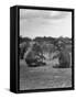 Vacationing Elephants Resting Up For Circus Season-Cornell Capa-Framed Stretched Canvas