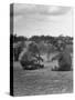 Vacationing Elephants Resting Up For Circus Season-Cornell Capa-Stretched Canvas