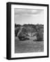 Vacationing Elephants Resting Up For Circus Season-Cornell Capa-Framed Photographic Print