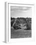 Vacationing Elephants Resting Up For Circus Season-Cornell Capa-Framed Photographic Print