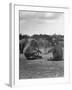 Vacationing Elephants Resting Up For Circus Season-Cornell Capa-Framed Photographic Print