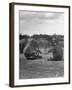 Vacationing Elephants Resting Up For Circus Season-Cornell Capa-Framed Photographic Print