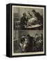Vaccination from the Calf-Charles Joseph Staniland-Framed Stretched Canvas