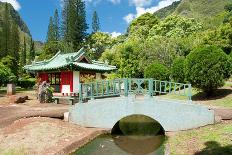 Japanese Garden in Iao Valley State Park on Maui Hawaii-Vacclav-Photographic Print