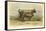 Vache De Salers-I. Bonheur-Framed Stretched Canvas