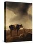 Vaches, moutons et berger-Paulus Potter-Stretched Canvas