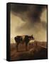 Vaches, moutons et berger-Paulus Potter-Framed Stretched Canvas