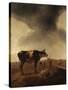 Vaches, moutons et berger-Paulus Potter-Stretched Canvas