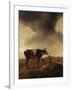 Vaches, moutons et berger-Paulus Potter-Framed Giclee Print