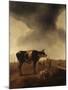 Vaches, moutons et berger-Paulus Potter-Mounted Giclee Print