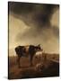 Vaches, moutons et berger-Paulus Potter-Stretched Canvas