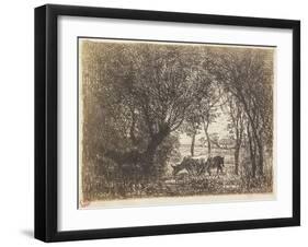 Vaches Sous Bois, 1862-Charles Francois Daubigny-Framed Giclee Print