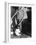 Vacuuming with a Chimp-null-Framed Photographic Print