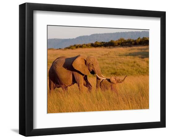 Photographic Print, , large