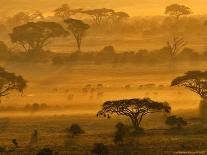 Elephant and Offspring, Masai Mara Wildlife Reserve, Kenya-Vadim Ghirda-Photographic Print