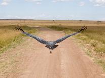 Masai Man, Amboseli Wildlife Reserve, Kenya-Vadim Ghirda-Photographic Print