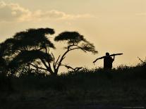 Wildebeests and Zebras at Sunset, Amboseli Wildlife Reserve, Kenya-Vadim Ghirda-Framed Photographic Print