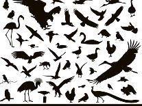 Birds Set-vadimmmus-Art Print