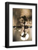 Vagrant Darter (Sympetrum Vulgatum) on Twig with Larval Case, Gornje Podunavlje Nr, Serbia-Smit-Framed Photographic Print