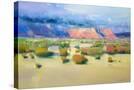Stretched Canvas