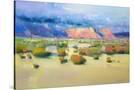 Stretched Canvas