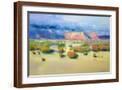 Brown Frame