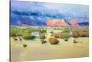 Stretched Canvas
