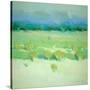 Stretched Canvas