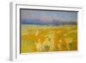 White Frame