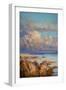 White Frame