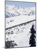 Vail Ski Resort and the Gore Mountains, Vail, Colorado, United States of America, North America-Kober Christian-Mounted Photographic Print