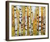 Vail-Mark Chandon-Framed Giclee Print