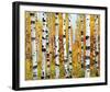 Vail-Mark Chandon-Framed Giclee Print