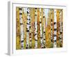 Vail-Mark Chandon-Framed Giclee Print