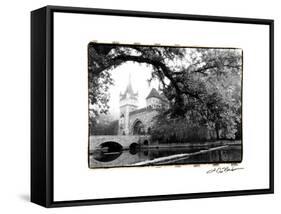 Vajdahunyad Castle, Budapest-Laura Denardo-Framed Stretched Canvas