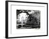 Vajdahunyad Castle, Budapest-Laura Denardo-Framed Photographic Print